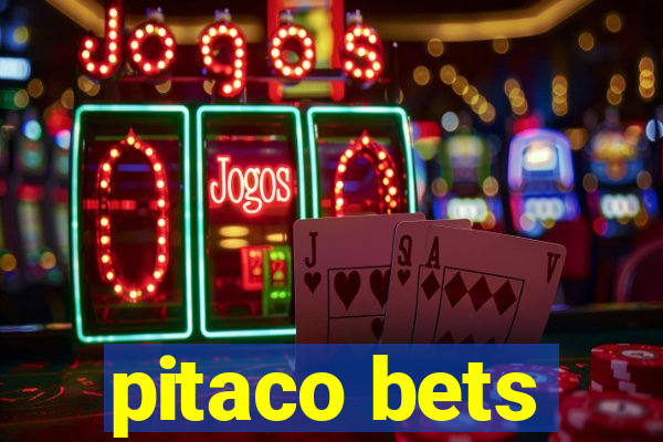 pitaco bets